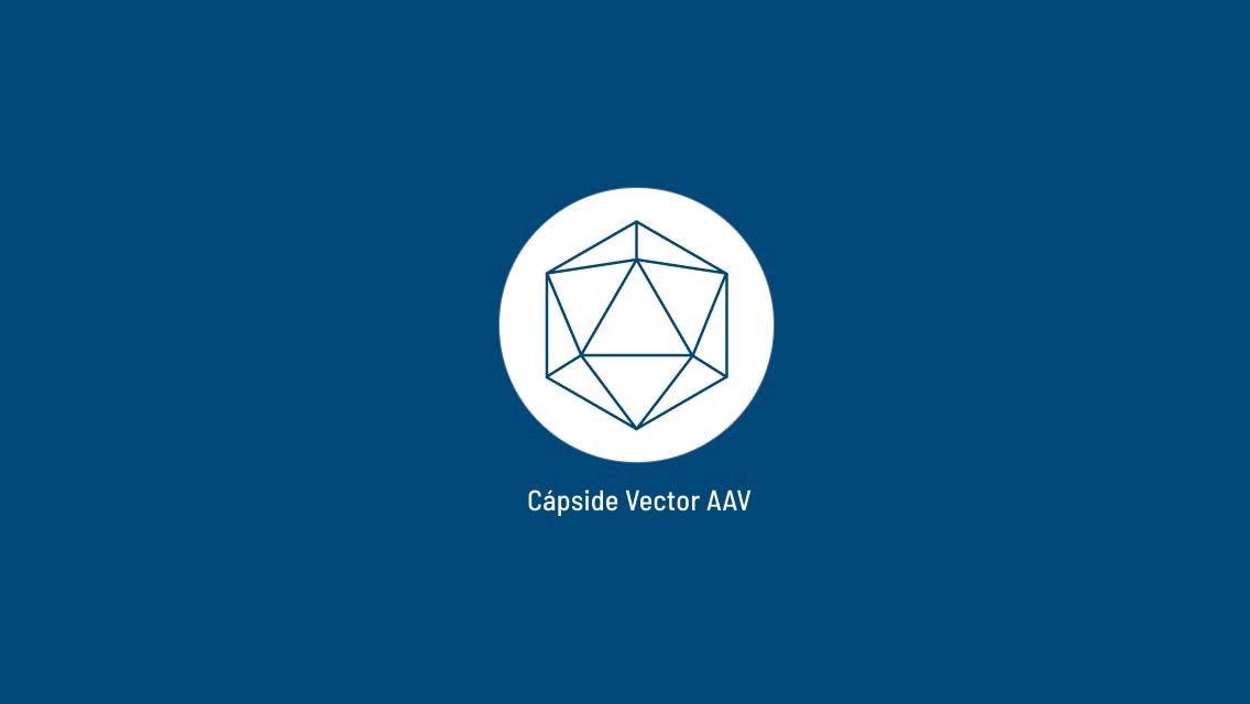Cápside del Vector Viral Adenoasociado (AAV)